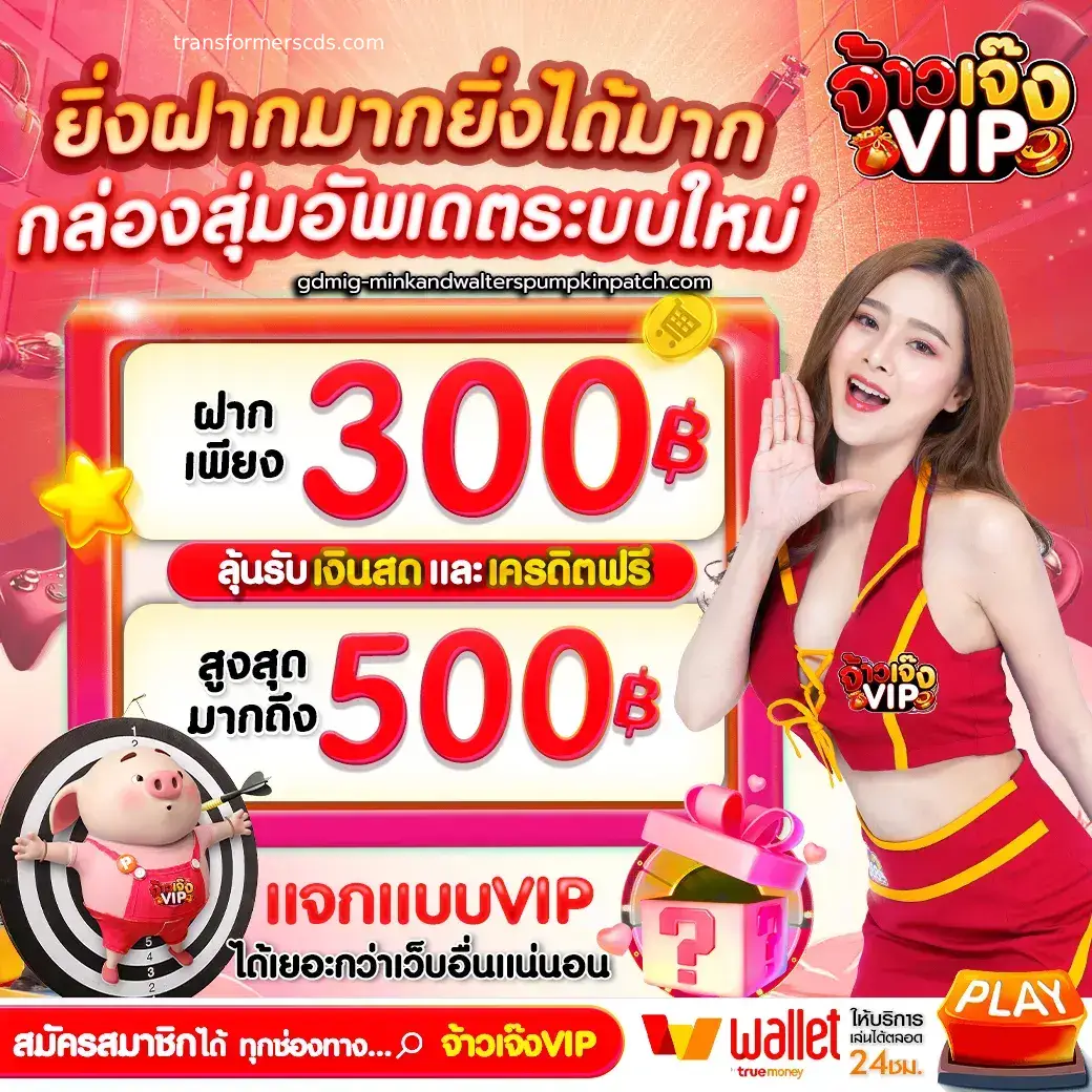 จ้าวเจ๊งvip